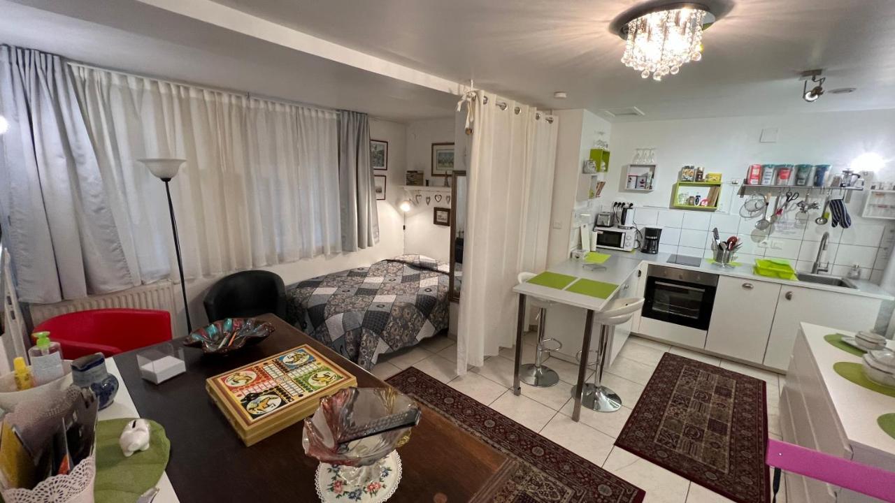 La Cour Des Cordonniers, Centre Cathedrale Petite France Apartment Страсбург Екстериор снимка