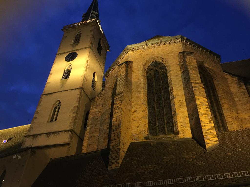 La Cour Des Cordonniers, Centre Cathedrale Petite France Apartment Страсбург Екстериор снимка