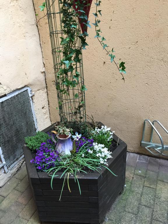 La Cour Des Cordonniers, Centre Cathedrale Petite France Apartment Страсбург Екстериор снимка