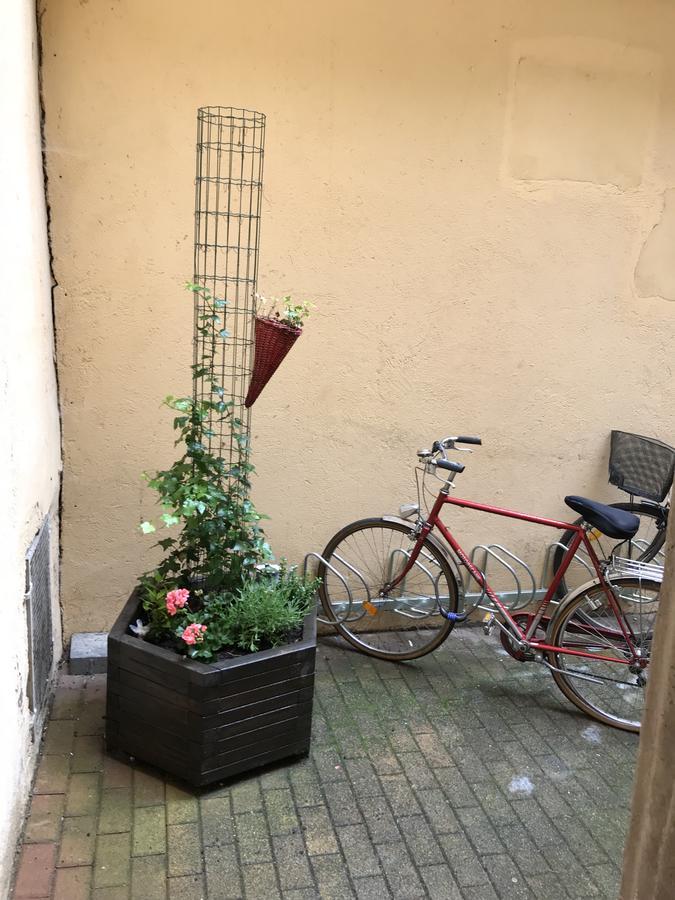La Cour Des Cordonniers, Centre Cathedrale Petite France Apartment Страсбург Екстериор снимка
